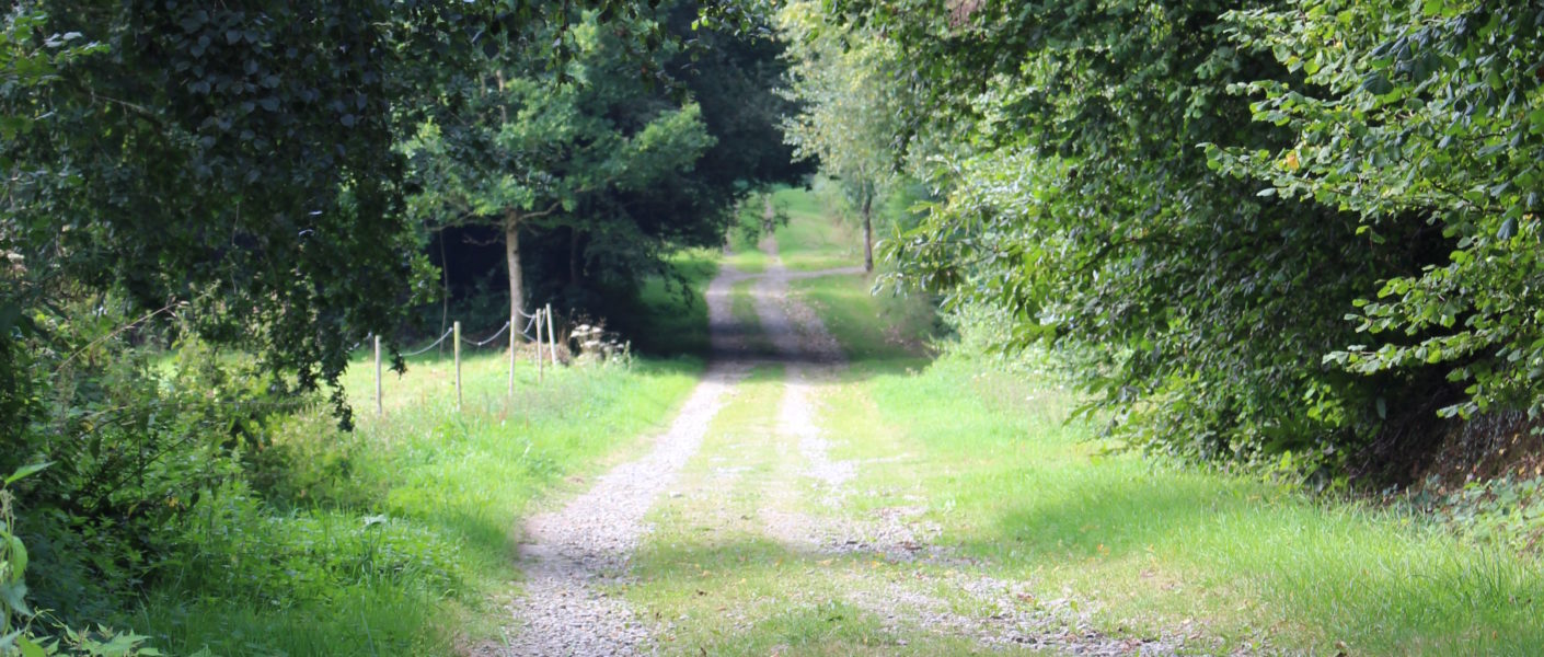 le chemin