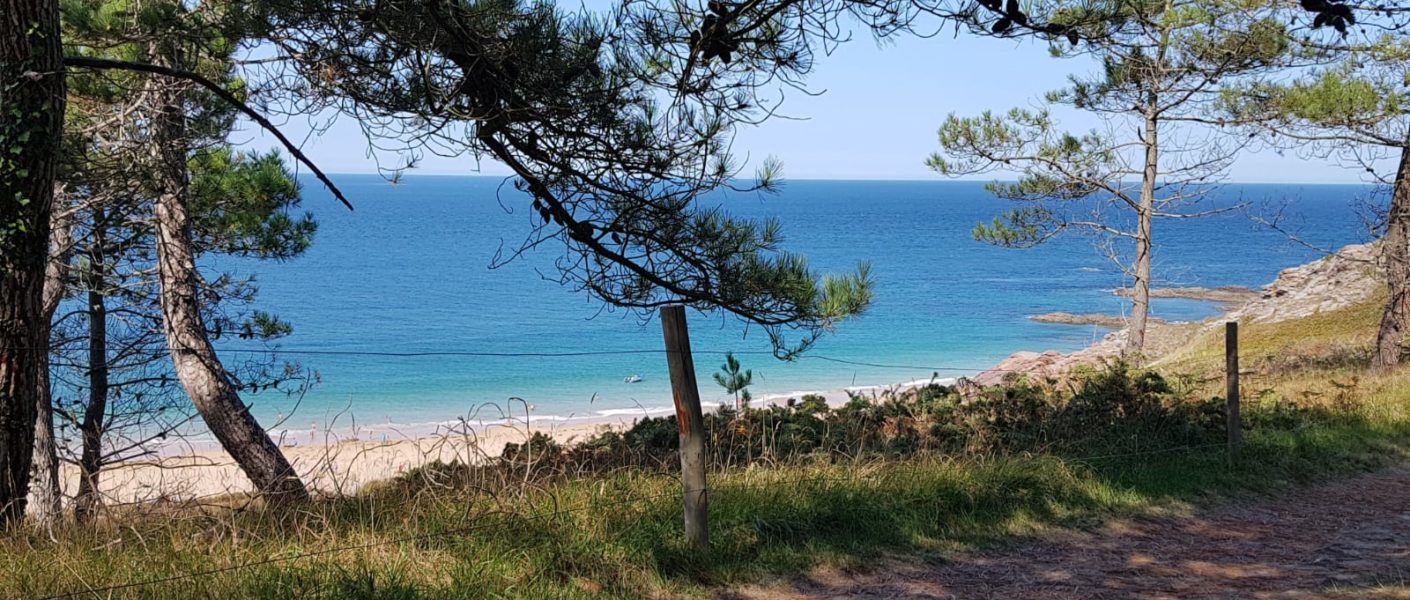 photo un petit coinn de paradis